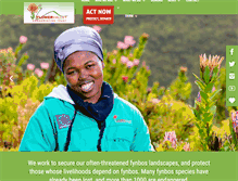 Tablet Screenshot of flowervalley.org.za